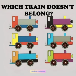 Put Your Observation Abilities to the Test: Locate the Train That Doesn’t Fit!