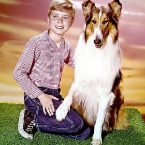 Lassie’s little Timmy reveals the secrets of TV’s most famous dog