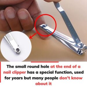 Unbelievable Mystery Objects That Nearly Broke the Internet