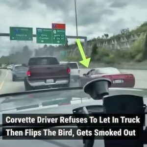 This Corvette driver must have definitely regretted flipping off the driver of this pickup truck