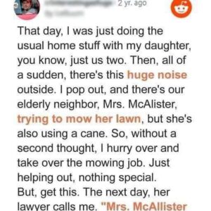 Once a single parent helps an elderly woman maintain her lawn, her lawyer gives him a startling call.