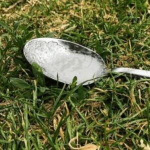 Why You Should Always Put A Spoon Of Sugar In Your Backyard Before Leaving The House