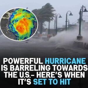 Hurricane Rafael set to hit the US – check the projected path!