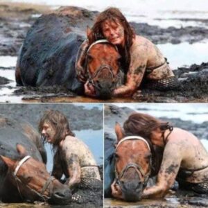 For 3 hours woman stays with trapped horse – then a farmer does everything he can to save its life