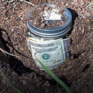 Boy Unearths Hidden Treasure in Granny’s Garden, Revealing Life-Altering Riches