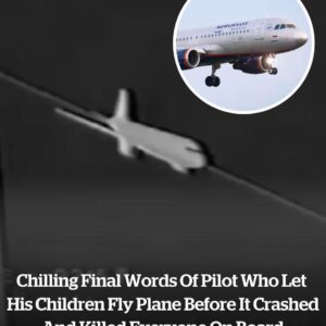 The Pilot’s Haunting Last Words Before The Plane Crashed And Killed Everyone On Board After He Let His Children Fly