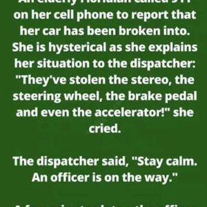 Hysterical 911 Call: Grandma’s Car Stolen? – The Case of the Missing Car Parts