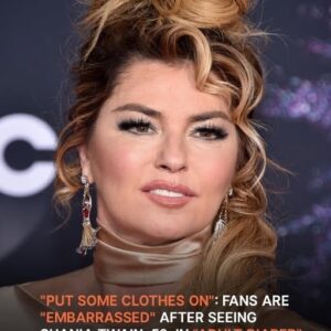 Fans React to Shania Twain, 59, Wearing a ‘Diaper’ During Her Recent Performance – Photos