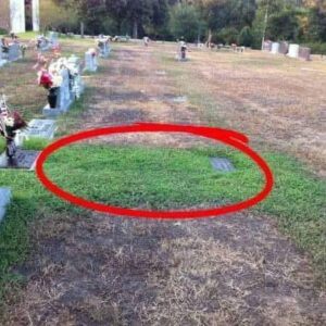 Stranger keeps secretly visiting soldier’s grave, when mom finds out ‘why’ she tracks him down