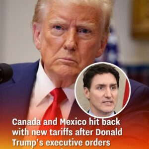 Canada And Mexico Responded By Imposing New Taxes After Donald Trump’s Executive Orders Increased Tensions In The Trade Conflict