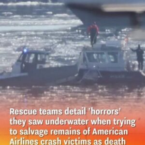 As The D eath Toll Increases, Rescue Crews Describe The “H orrors” They Witnessed Underwater While Attempting To Recover The Remains Of American Airlines Disaster V ictims