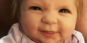 Baby dies after being attacked by a family member’s dog