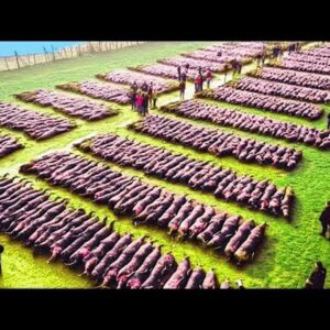 Drone Footage Reveals Mysterious Magnetic Phenomenon on a Struggling Farm Drone Footage Reveals Mysterious Magnetic Phenomenon on a Struggling Farm