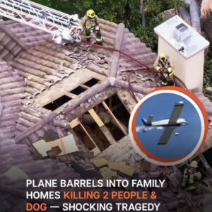2 People & Dog Dead After Small Plane Crashes in Simi Valley Neighborhood 2 People & Dog Dead After Small Plane Crashes in Simi Valley Neighborhood