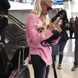Entitled Dog Owner Made the Airport Hell for Everyone – She Deserved What I Did at the Gate Entitled Dog Owner Made the Airport Hell for Everyone – She Deserved What I Did at the Gate