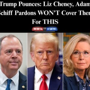 The Controversial Pardons of Biden’s Allies: A Closer Look at the Fallout and Legal Implications The Controversial Pardons of Biden’s Allies: A Closer Look at the Fallout and Legal Implications