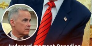 Awkward moment Canadian Prime Minister Mark Carney calls out Trump for blatant lie during White House meeting