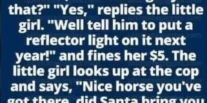 Did Santa get you that?