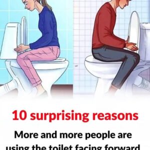 More and more people are using the toilet facing forward, for 10 surprising reasons More and more people are using the toilet facing forward, for 10 surprising reasons