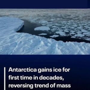 Antarctica sees first ice gain in decades Antarctica sees first ice gain in decades