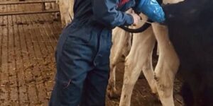 THEY LAUGHED WHEN I SAID I MILK COWS—BUT THEN CAME THE REUNION