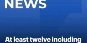 Twelve dead including famous singer in plane crash off remote island