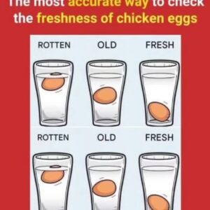 The Best Method to Check Egg Freshness (It Actually Works) The Best Method to Check Egg Freshness (It Actually Works)