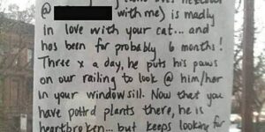 Dog Falls In Love With Cat And Watches Out The Window Every Days.