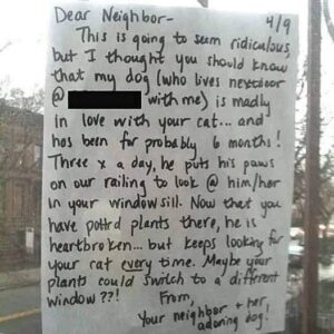 Dog Falls In Love With Cat And Watches Out The Window Every Days. Dog Falls In Love With Cat And Watches Out The Window Every Days.