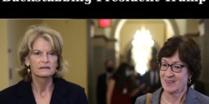 Poll Reveals Majority of Maine Voters Oppose Collins’ Re-election Bid