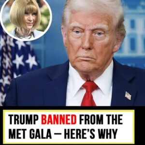 Donald Trump not welcome at the Met Gala – here’s why Donald Trump not welcome at the Met Gala – here’s why