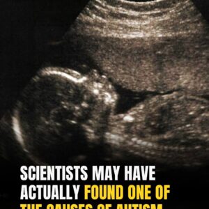 Scientists May Have Actually Found One Of The Causes Of Autism Scientists May Have Actually Found One Of The Causes Of Autism