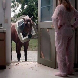 THE HORSE BROKE THROUGH OUR KITCHEN DOOR—AND I WOKE UP TO A NIGHTMARE THE HORSE BROKE THROUGH OUR KITCHEN DOOR—AND I WOKE UP TO A NIGHTMARE