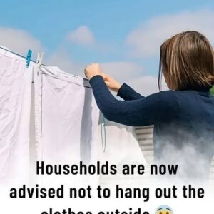 Why Is It Not Recommended To Hang Out The Clothes Outside Why Is It Not Recommended To Hang Out The Clothes Outside