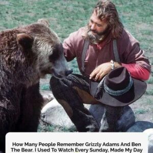 Playing the role of Grizzly Adams was Dan Haggerty. Playing the role of Grizzly Adams was Dan Haggerty.
